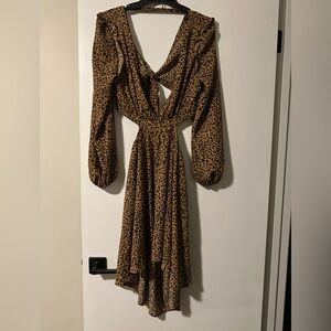 Leopard Print Long Sleeve Dress
